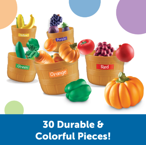 Farmer's Market Color Sorting Set