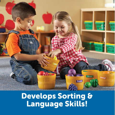 Farmer's Market Color Sorting Set